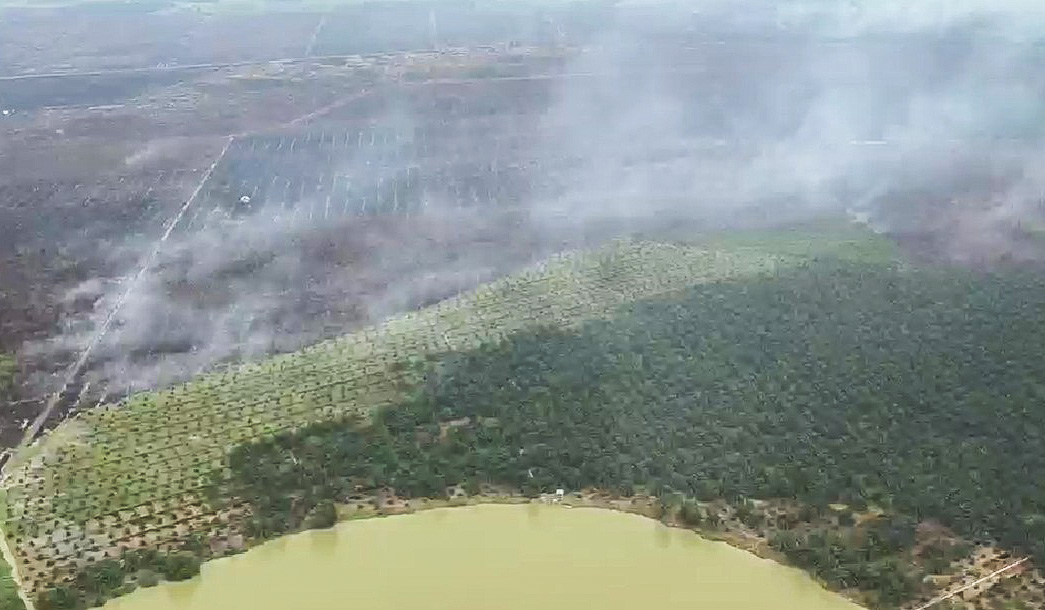 Kapolda Riau Patroli Udara, Pastikan Karhutla Pelalawan Ditangani hingga Tuntas